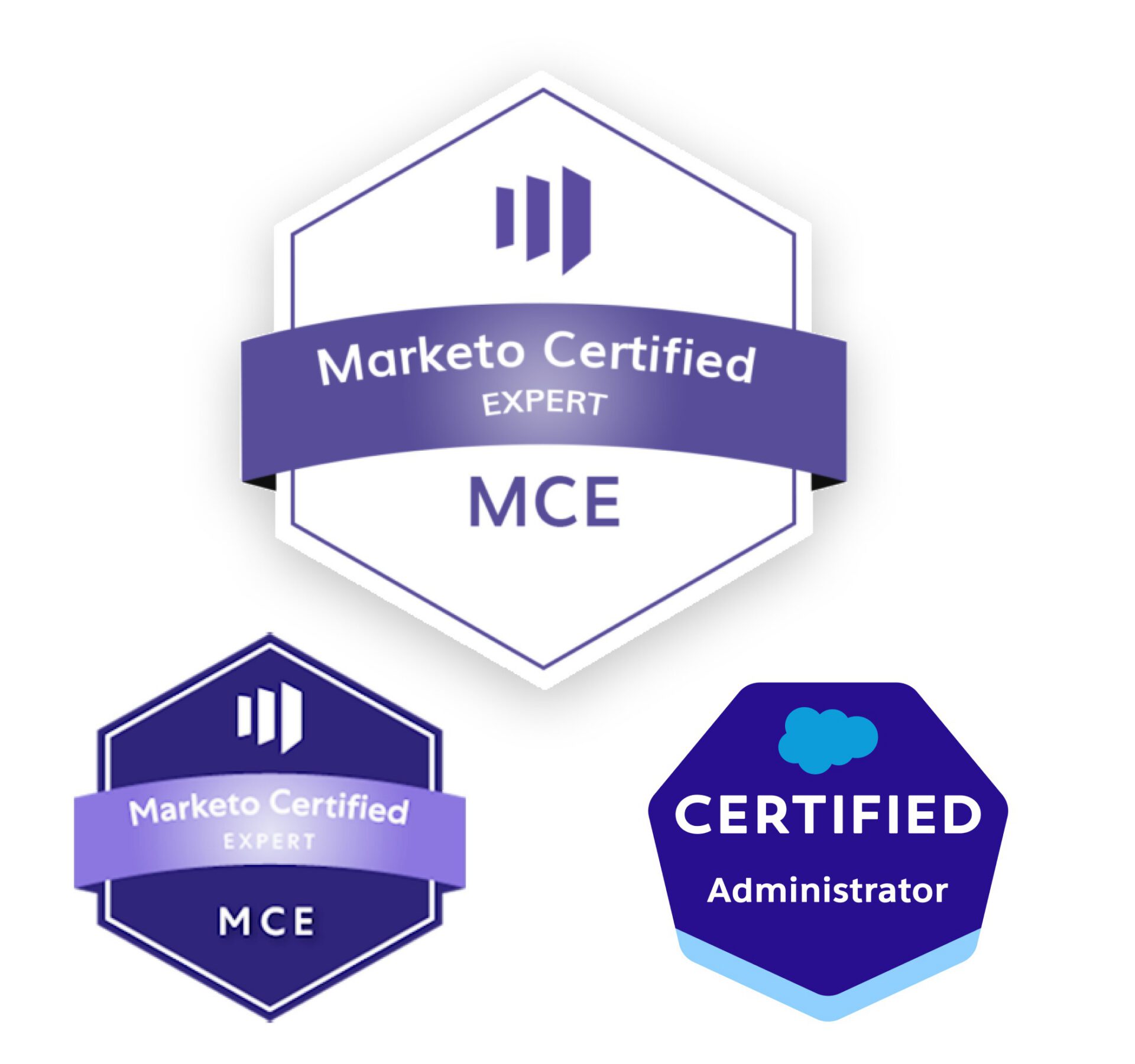 certification marketing ops training logo